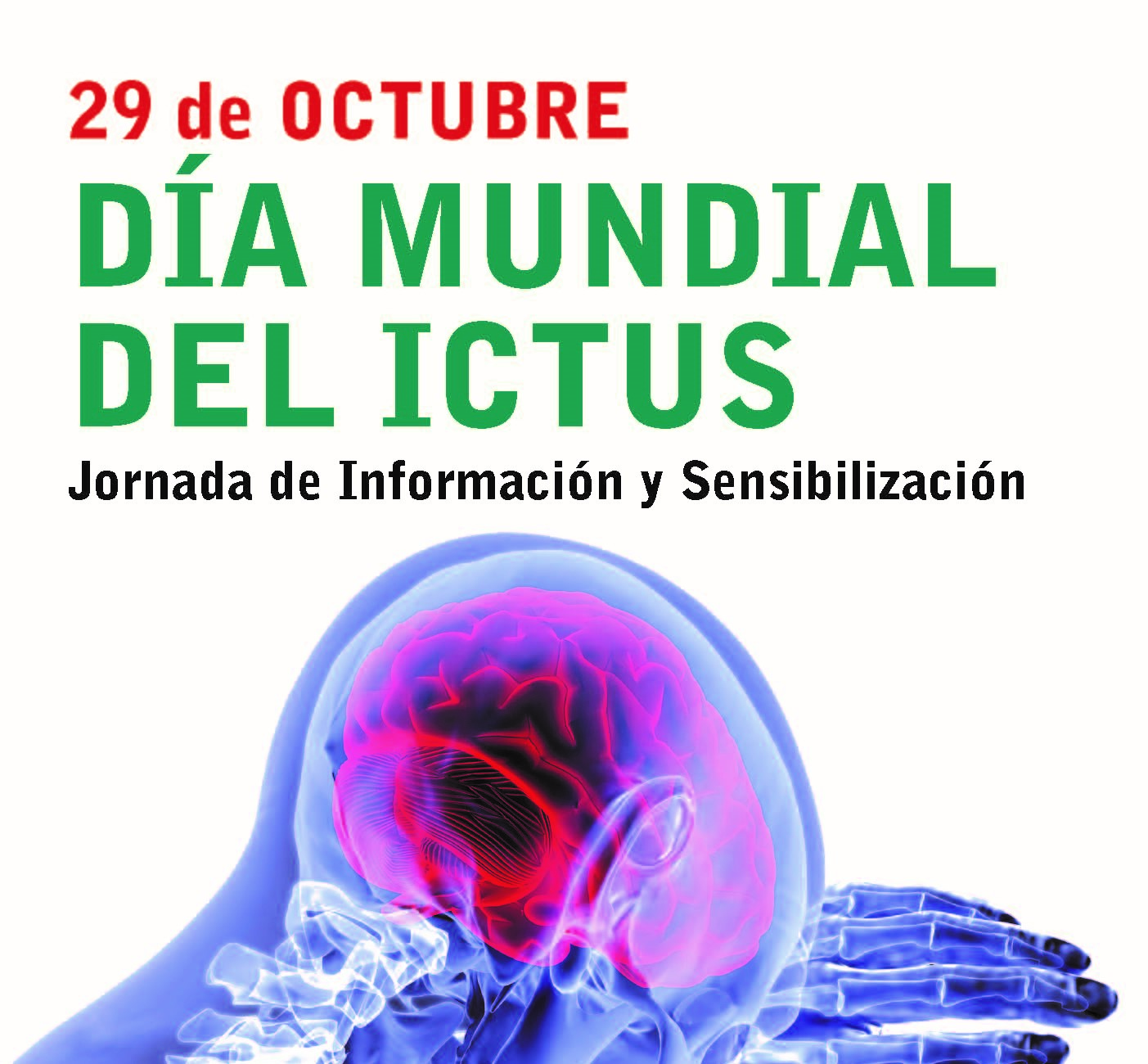 DÍA MUNDIAL DEL ICTUS - Campaña Informativa y Cuestación