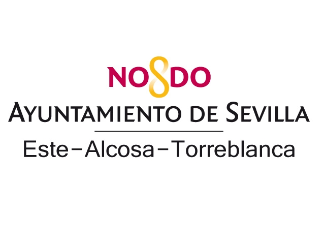 ICTUS SEVILLA recibe subvención del Ayuntamiento de Sevilla